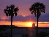 Another great sunset i Clearwater Beach