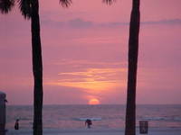 we just found your web site and we love clearwater beach so much we will be coming back for our 1st annevasry