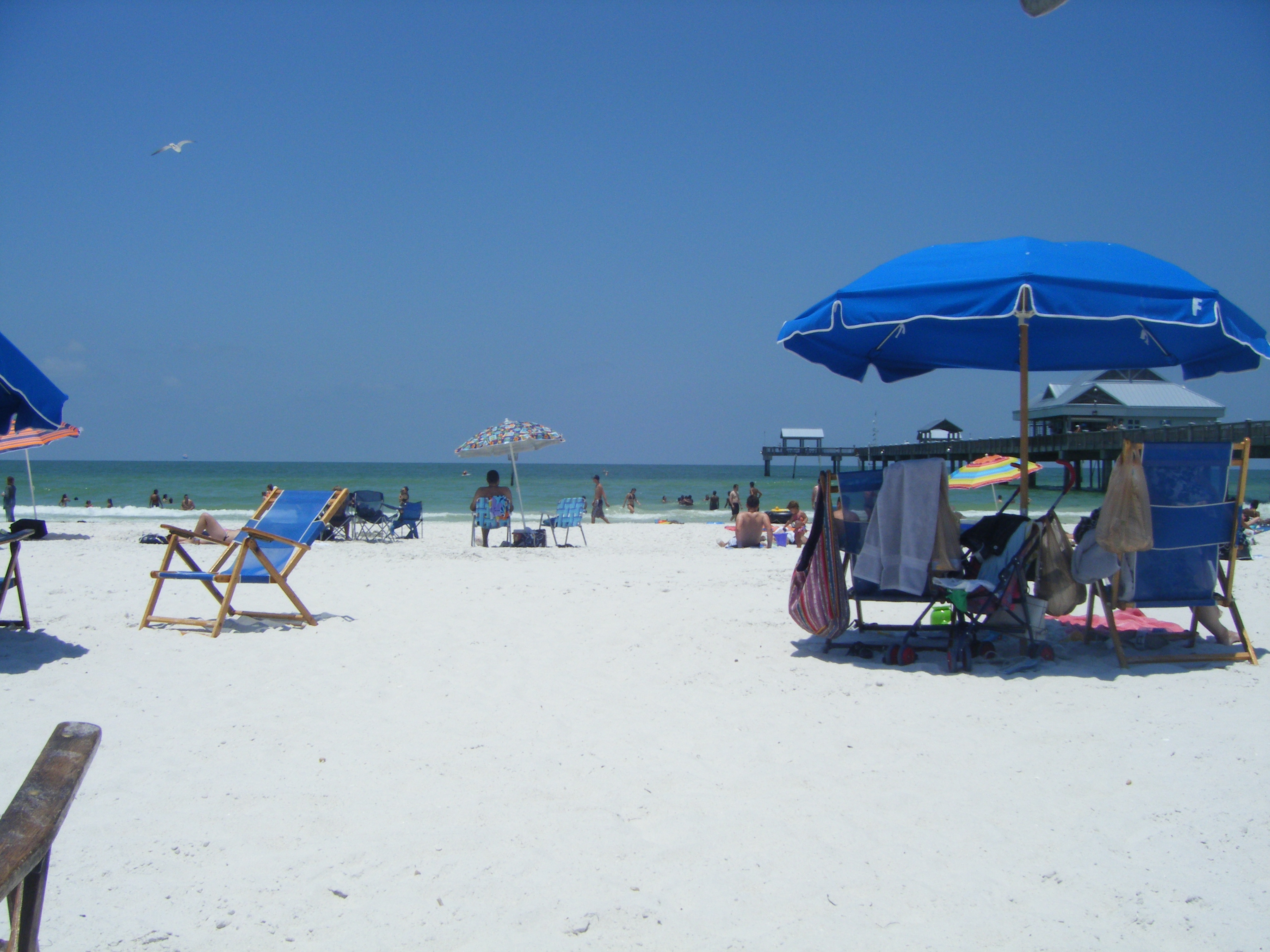 Photo Gallery Clearwater Beach Com