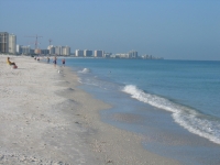 Looking south toward clearwater beach