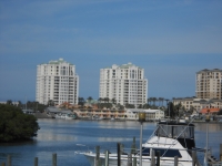 From Clearwater Aquarium