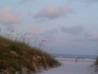 North Beach Dunes