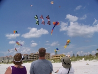 Kiting TampaBay flying Kites at Pier 60. Come fly with us!