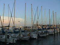 Clearwater Beach Marina.

Thanks,
Shane