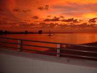 A beautiful picture taken from the bridge from South Beach to Sand Key. Taken from the Beach Trolley.
