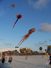 Kiting TampaBay Flying at Pier 60