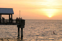 fishing from the pier